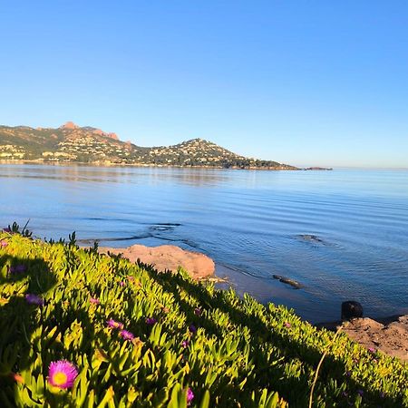 Vacances En Paradis Saint-Raphael  Ngoại thất bức ảnh